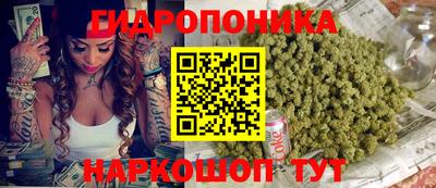 apvp Краснодар