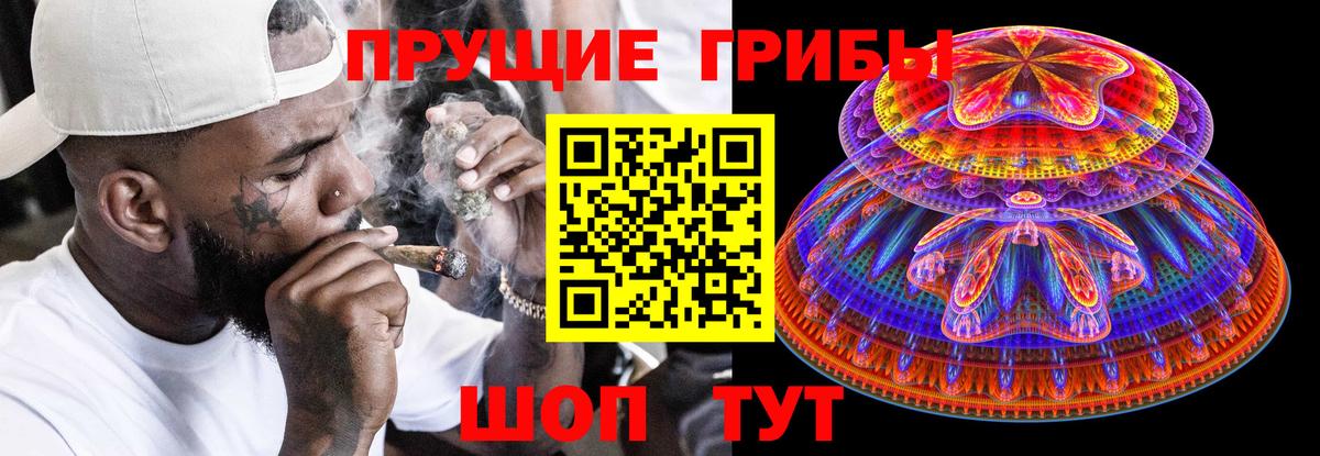 Псилоцибиновые грибы мицелий Пугачёв
