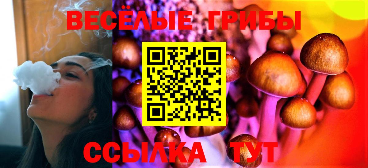 Галлюциногенные грибы MAGIC MUSHROOMS  Вход с VPN  Пугачёв 